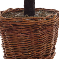 ������� ������������ ���� � ���������� (3���, �� ������.), L20 W15 H45 ��