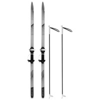    Winter Star:  130 ,  100 