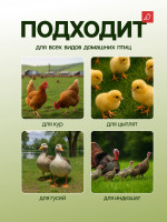       10 , 