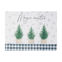     magic Winter, 3040 , , 