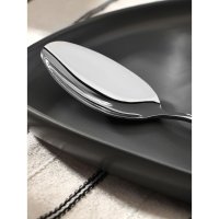 ����� �������� �� ����������� ����� Magistro ������, ����� 22 ��, �� �������, ���� ����������