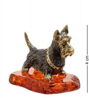 Am-1843 ������� ����� ������ (������, ������)