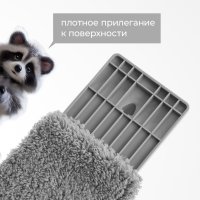     Raccoon,  , 31x6,5x131 