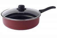  Expert -018 Scovo D-24 . ..  . .