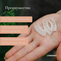  , 4 ,  50 ., Greengo
