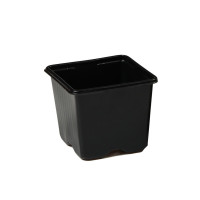 ������ ��� �������, 320 ��, 8 8 7 ��, ������, Greengo