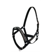 ���������, ������, �������, 25 ��, ��404