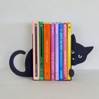    Hidden Cat