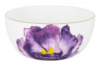  Iris, 14 , 0,75 