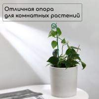 ������� ��� �������� ��������, H=40 ��, D=3 �� ��, �����������, ������, Greengo