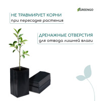   , 2 , 10 25 , ,  60 ,  , , Greengo