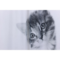     Kitty, 180200 