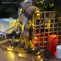   5 , Ip20,  , 50 Led, 8 , 220 ,   