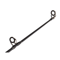 ������� �������� Salmo Sniper Carp, ���� 1-120 �., ����� 3,6 �.