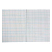  4, 48    Calligrata  ,  