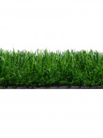  ,  ,  40 , 2 5 , , Greengo