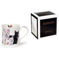  Dunoon --. 300
