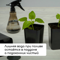   :   300  (12 .),  45 18 , , Greengo