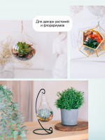      ,  2-5, 3 