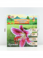   ,     , - 12/14, 3 .