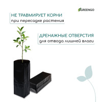   , 10 , 14 45 , ,  120 ,  , , Greengo