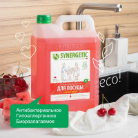     Synergetic "",   , 5 