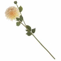 ������������� ������ ��������, 66�11��, 6�