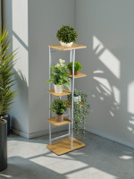    Greengo, 6 , 36 23 106 , ,  ,  , 