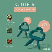    :   (6.5 ) - 10 .,   (4.5 ) - 10 ., Greengo