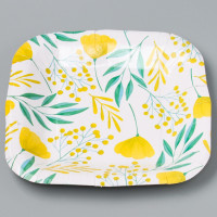 ������� ����������� �������� ���������� "�����������",������,�����, 16,5�16,5 ��