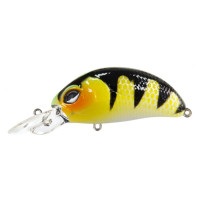   Lj Original Pilot-xdr F, 6.5 ,  005