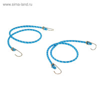     Torso, 80 , D8 ,  , ,  2 