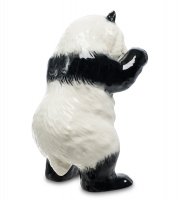 Jp-800/20    (pavone)