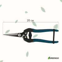 , 8 (20 ),   , Greengo