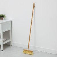 ٸ��� ��� ���� Raccoon Meli, ������, 28x128 ��, ���� 7 ��