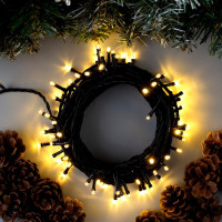   10 , Ip44,  , 100 Led,   , 8 , 220 