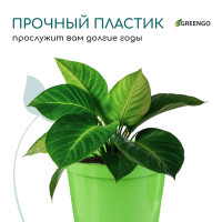   , 5 , D = 22 , H = 18 , , , Greengo