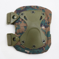 ����� 2 �����������, 2 �����������, �������