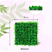  , 25 25 , , Greengo