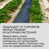    , 5 0.3,  80 / ,   -, , Greengo,  30%