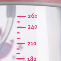 �������� - ������������ ������� � ����������� ��������� ���������, 260 ��., � �������, ���� �������