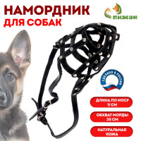      3, , (   11 ,   30 )