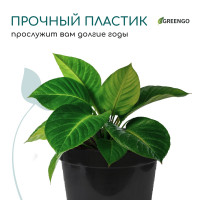   , 15 , D=34 , H=22 , , Greengo