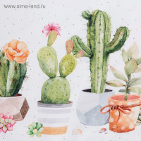    220147 , 100% ,  160 /2