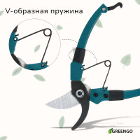  , 7 (18 ),   , Greengo