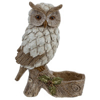 ���������� ������������ ����, L10,5 W6 H13,5 ��, 2�.