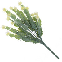   ( 2), L12 W11 H40 , 4.