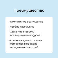   :   250  (18 .),  40 20 ,  , Greengo