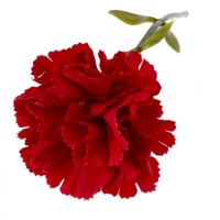 ������ ������������� ��������, L7 W7 H30 ��