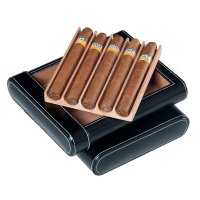   5- , . Afn-cc106  Aficionado,  